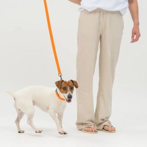 Extensión de correa para perro